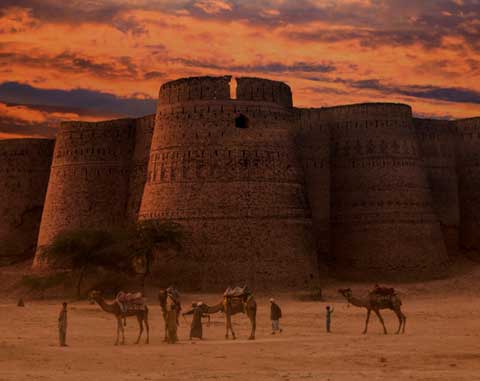 Cholistan-desert